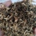 荆门钟祥干雪里红碎梅干菜切段8成干资质齐全常年供货承接加工