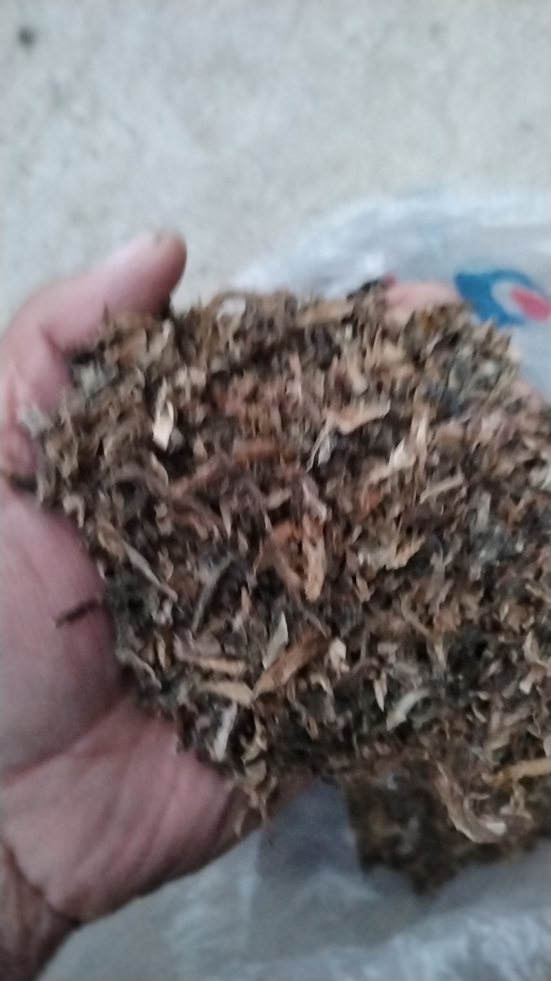 荆门钟祥干雪里红碎梅干菜切段8成干资质齐全常年供货承接加工
