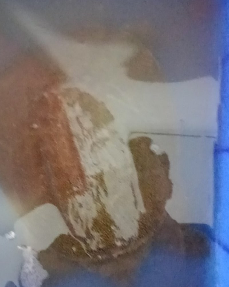 我有甲鱼出售
