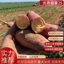 【精品烟薯】山东红薯，基地供应，大量批发，欢迎来电