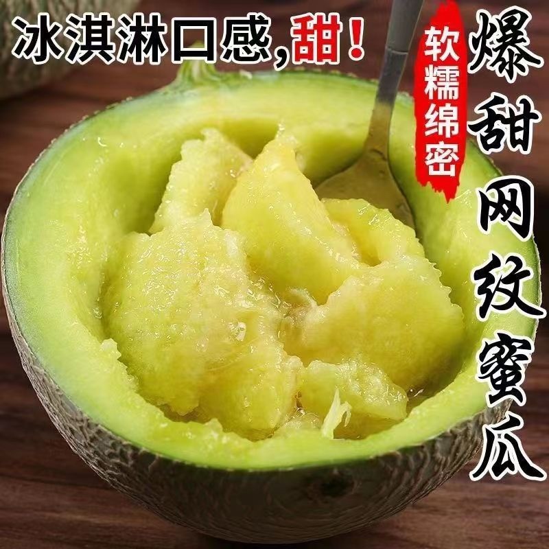 网文瓜苗寿光直发品质保证包成活率