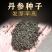 丹参种子散装批发中药材草药籽易种易管理大红根血参泡茶药用
