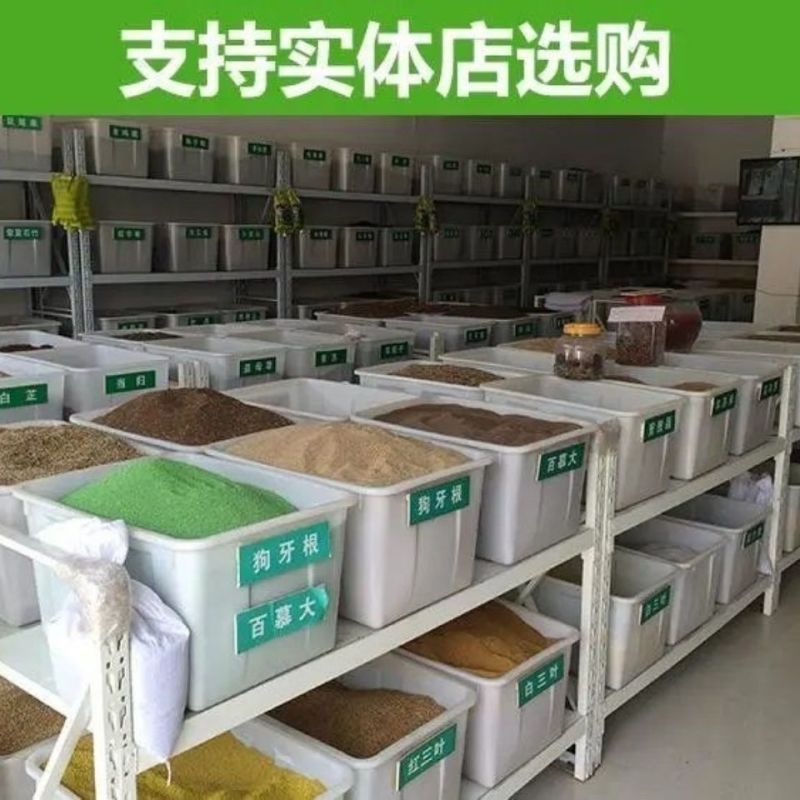 日本结缕草种子进口草坪草籽四季长青矮生耐践踏庭院足球场草