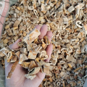 批发桑白皮