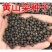 新采栾树种子北京栾树种子林木种子黄山栾树种子北栾
