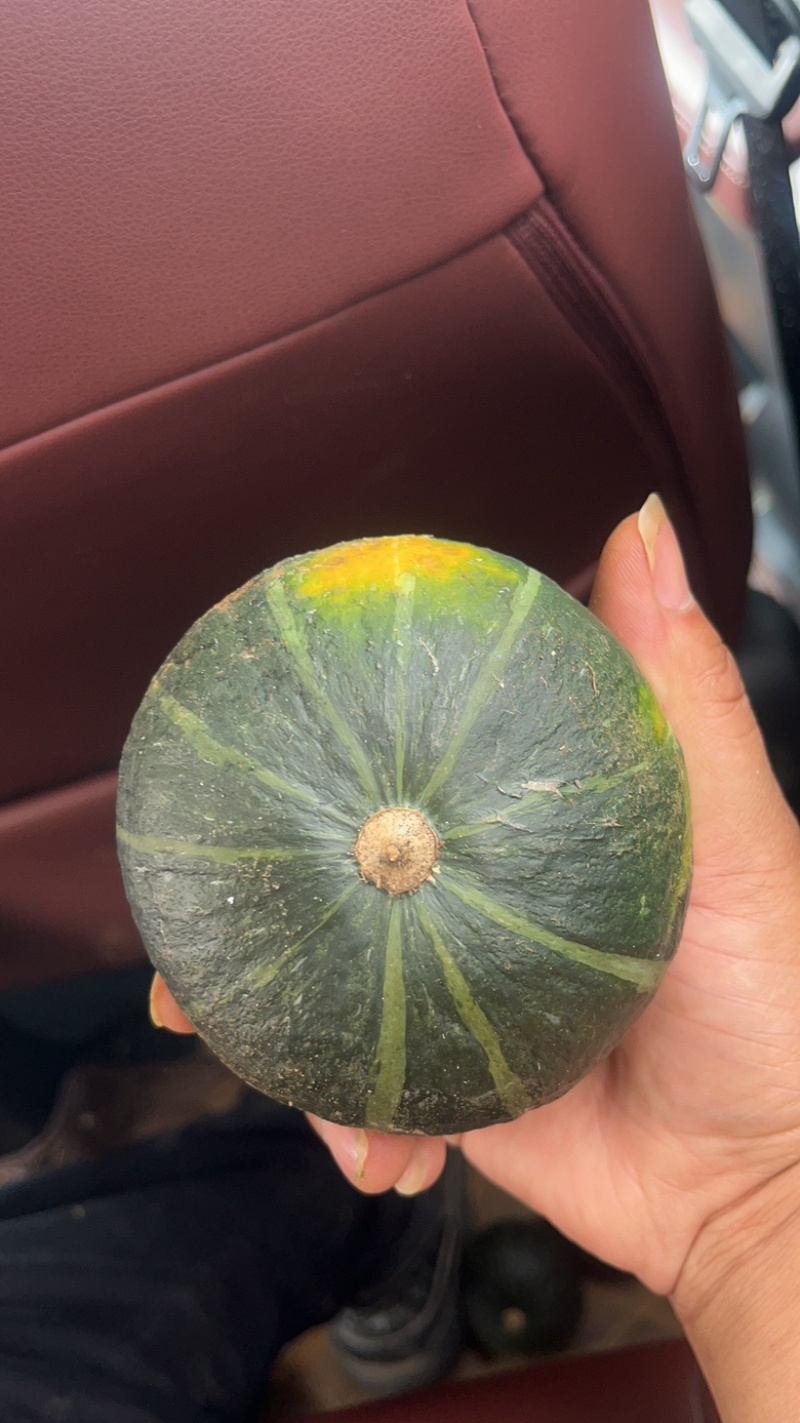 陕西贝贝小南瓜全年品有货，可供应电商，市场，商超