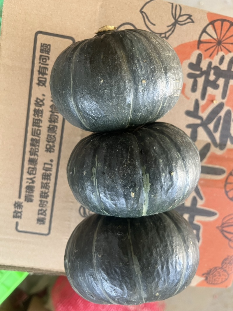 陕西贝贝小南瓜全年品有货，可供应电商，市场，商超