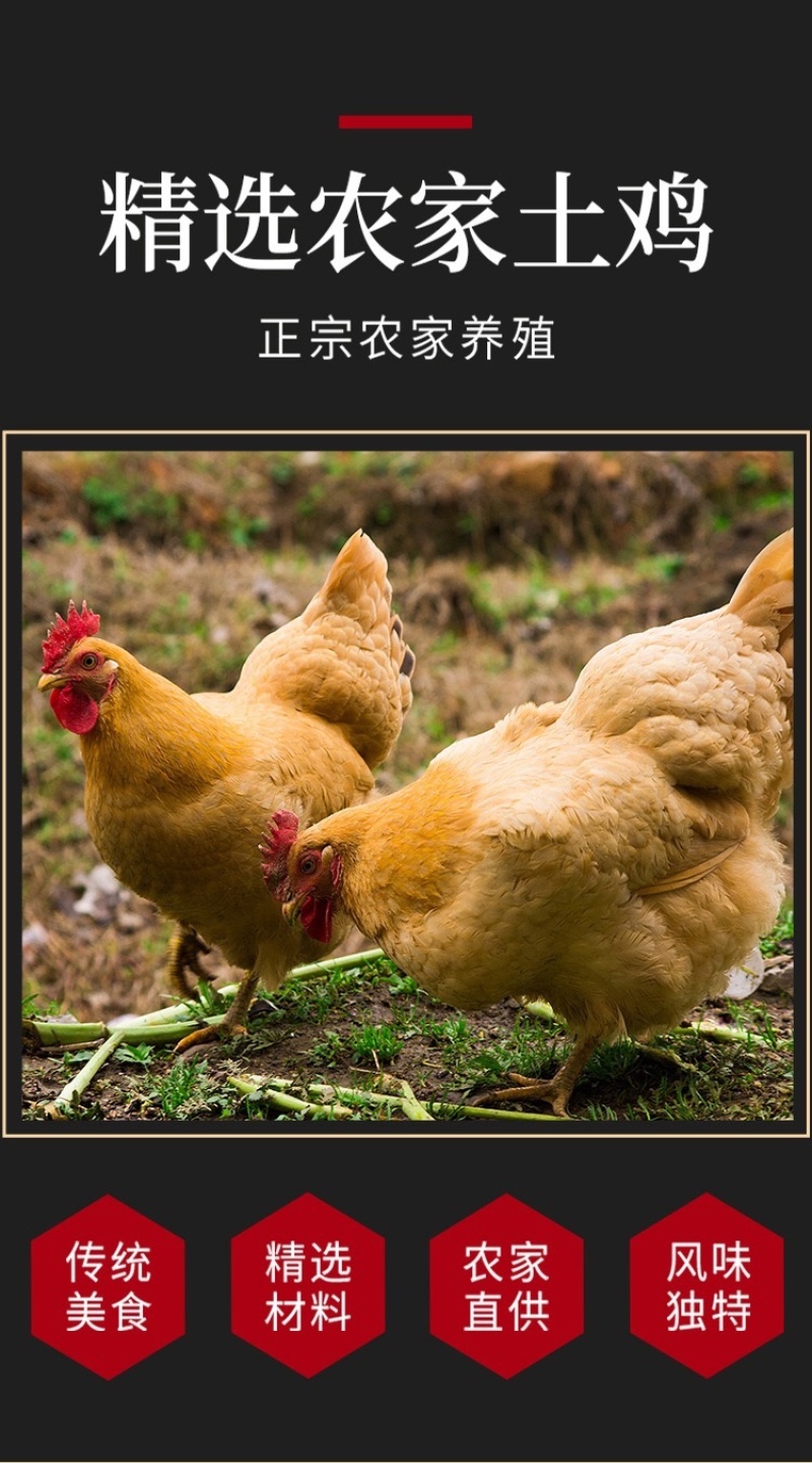 【手撕椒麻鸡】