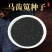 野生马齿苋种子农家大田四季播种蚂蚱菜阳台盆栽食用春秋野菜
