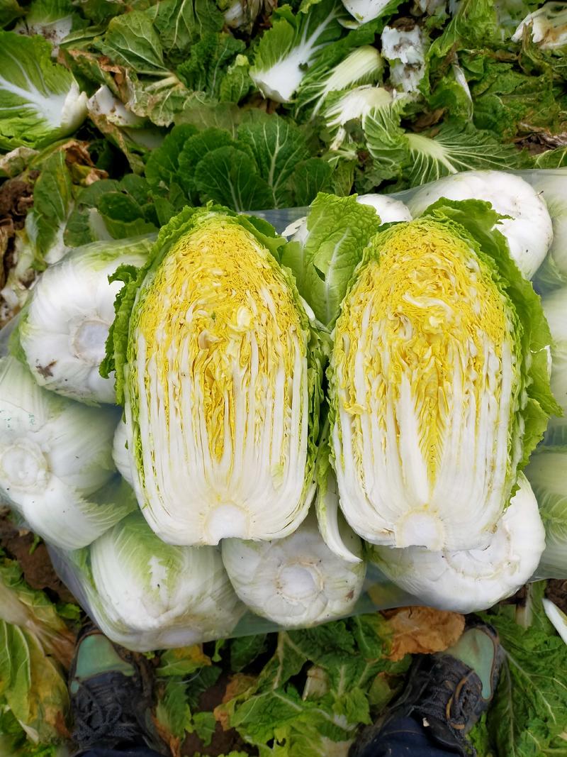 【白菜精品】矮颗黄心白菜3一5斤左右欢迎进店选购价格美丽