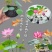 开口碗莲种子四季播种水培盆栽绿植水生花卉绿