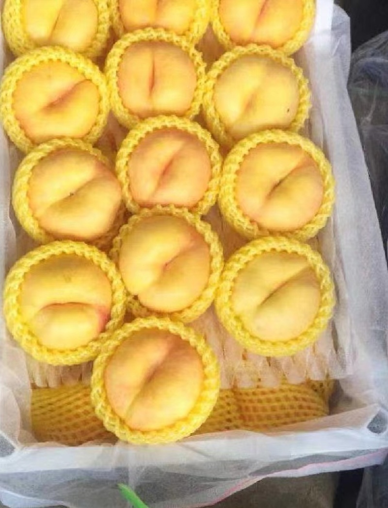 黄桃蟠桃