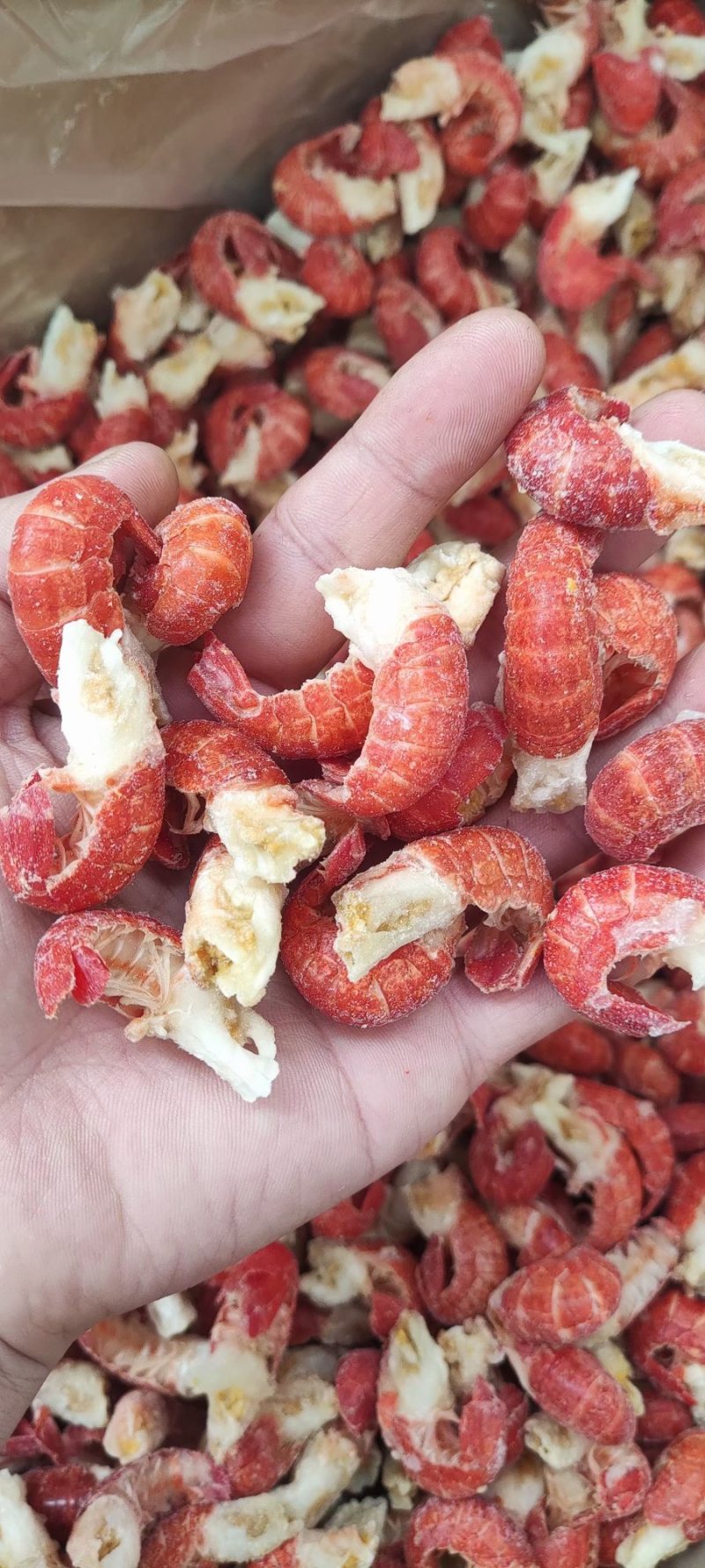 特级龙虾尾，一级虾尾，二级虾尾，新货，厂家直销