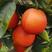 四川特罗科血橙基地一手货源支持全国代发欢迎实地查看