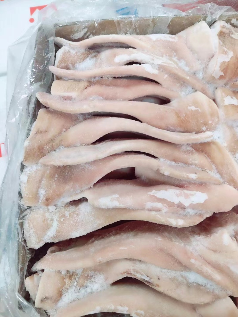 猪耳朵，一件20斤25左右，量大优惠，感兴趣欢迎光临！