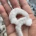 虾仁冷冻青虾仁冻虾仁鲜虾仁特级大新鲜海虾水产批