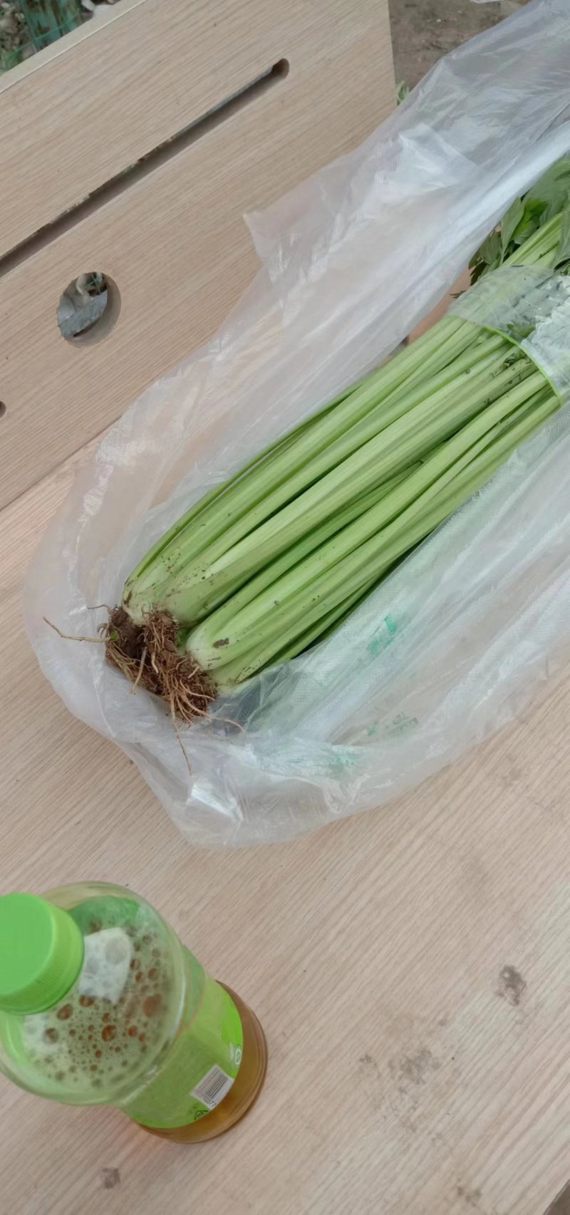 河南芹菜，精品暖棚西芹，色泽艳，视频看货，线上保障交易。