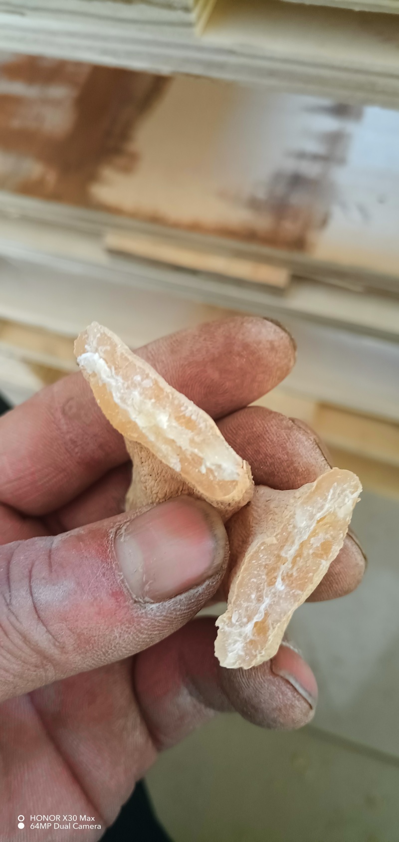 陕西天麻天麻素含量高规格齐全欢迎老板联系