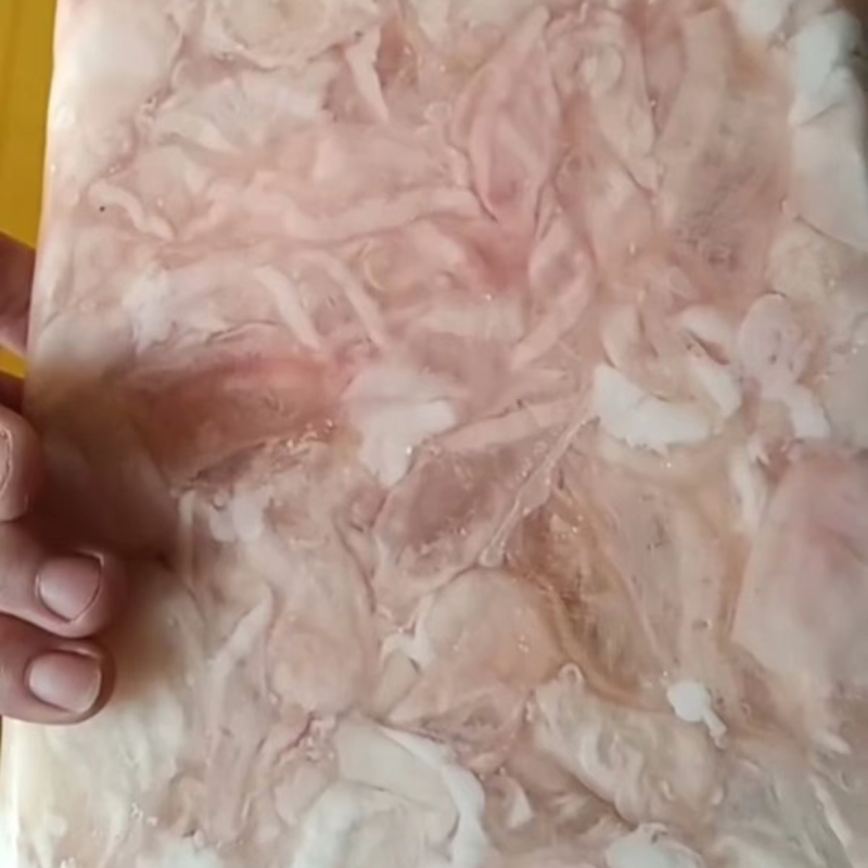 草鱼泡泡