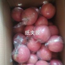 箱装高山甜脆红富士分层分格套网净果20斤