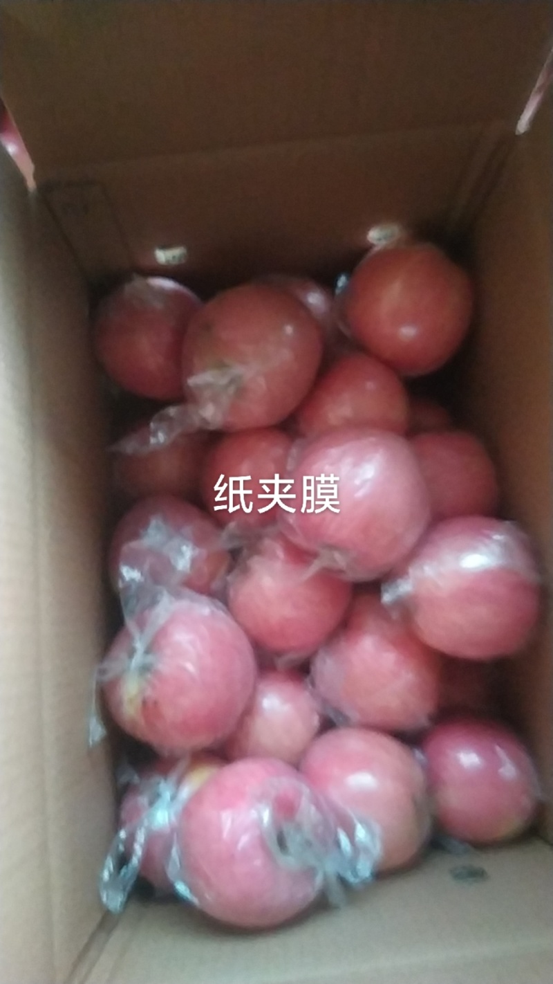 箱装高山甜脆红富士分层分格套网净果20斤