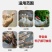 湖南肉鹅全价配合饲料催肥快羽毛齐不痛风80斤
