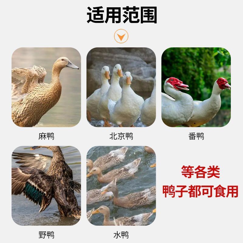 湖南肉鹅全价配合饲料催肥快羽毛齐不痛风80斤