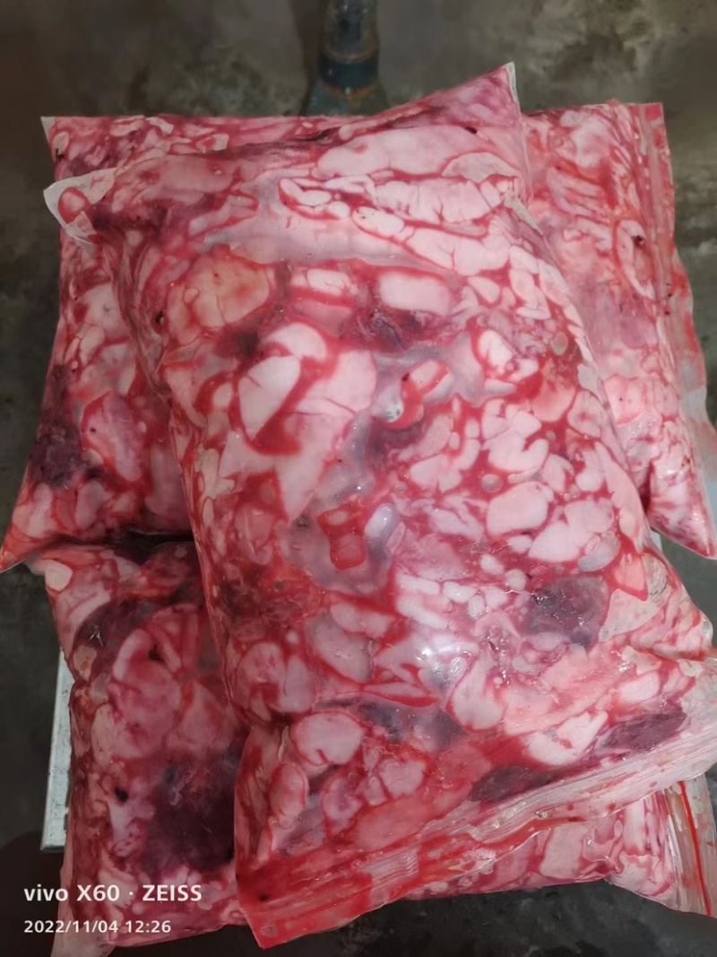 鲤鱼白
