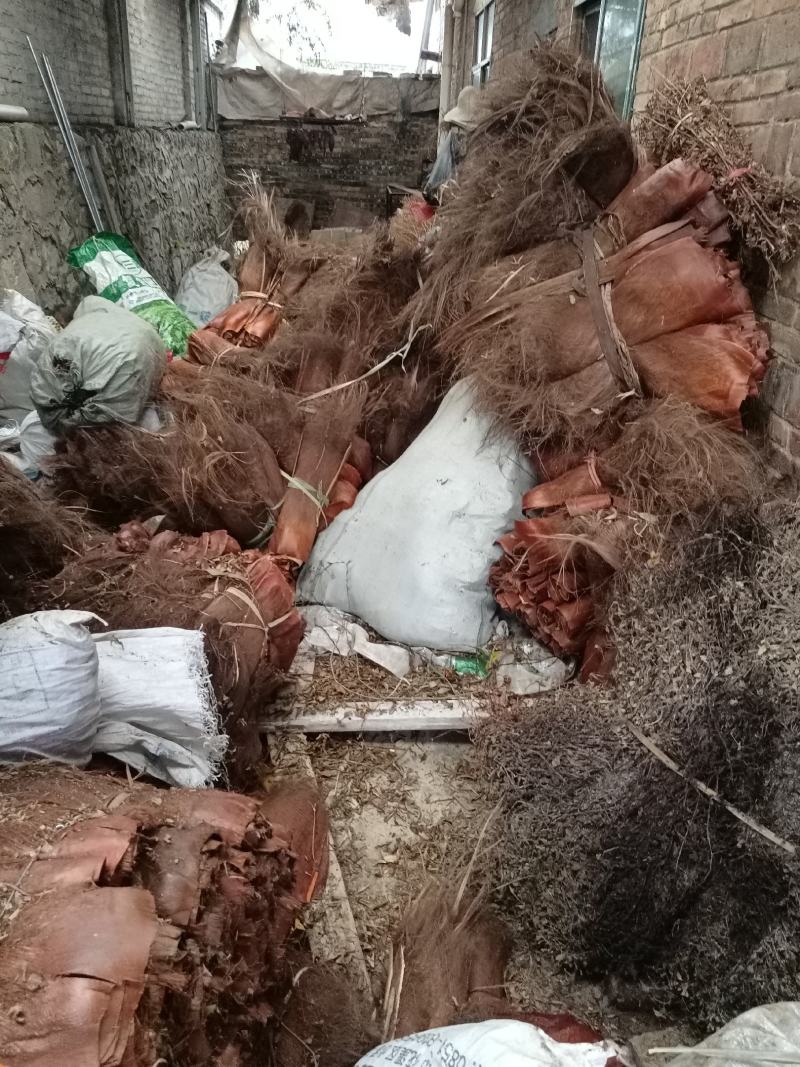 棕榈片