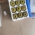 四川红心猕猴桃货源充足，一件代发对接电商团购