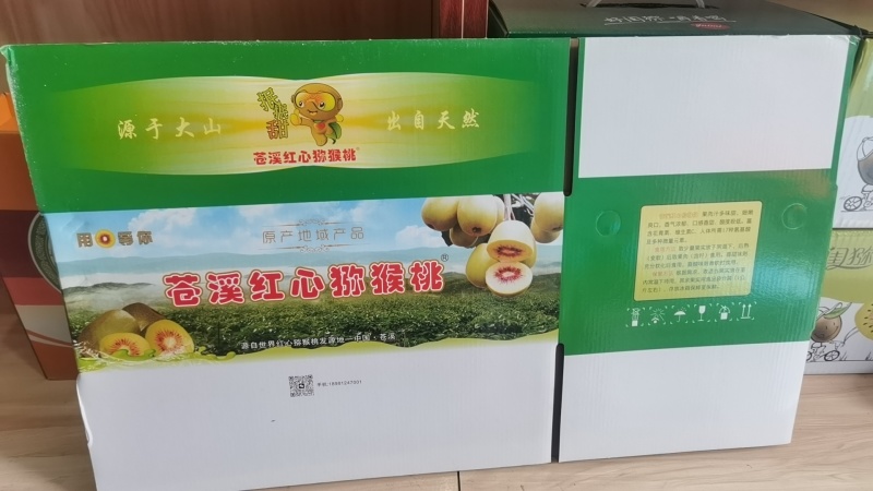 四川红心猕猴桃货源充足，一件代发对接电商团购