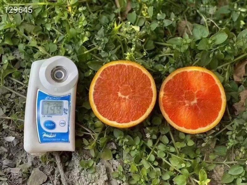【优】精品纽荷尔脐橙橙子产地现摘现发人工选果