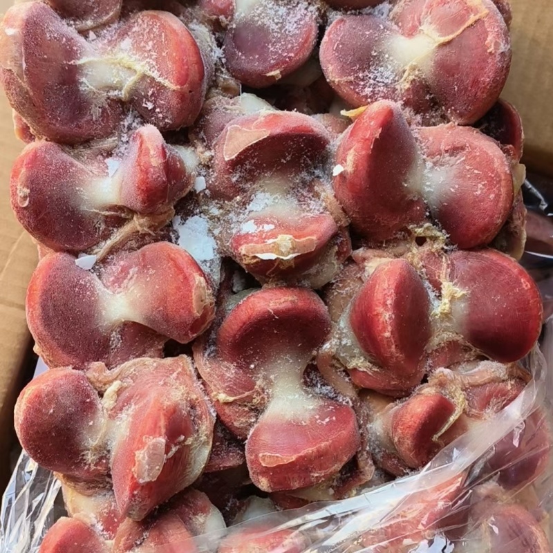 鸭胗大小规格齐全厂家直发新鲜冷冻精品鸭胗