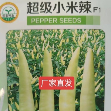 乐农种业小米辣朝天椒种子辣椒种子中熟香辣单生耐温热包邮