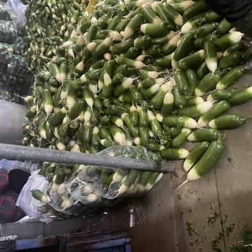 需要的朋友可以联系我