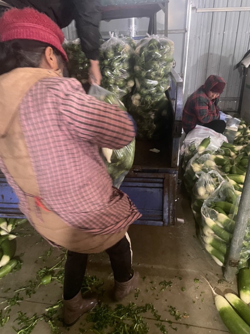 需要的朋友可以联系我