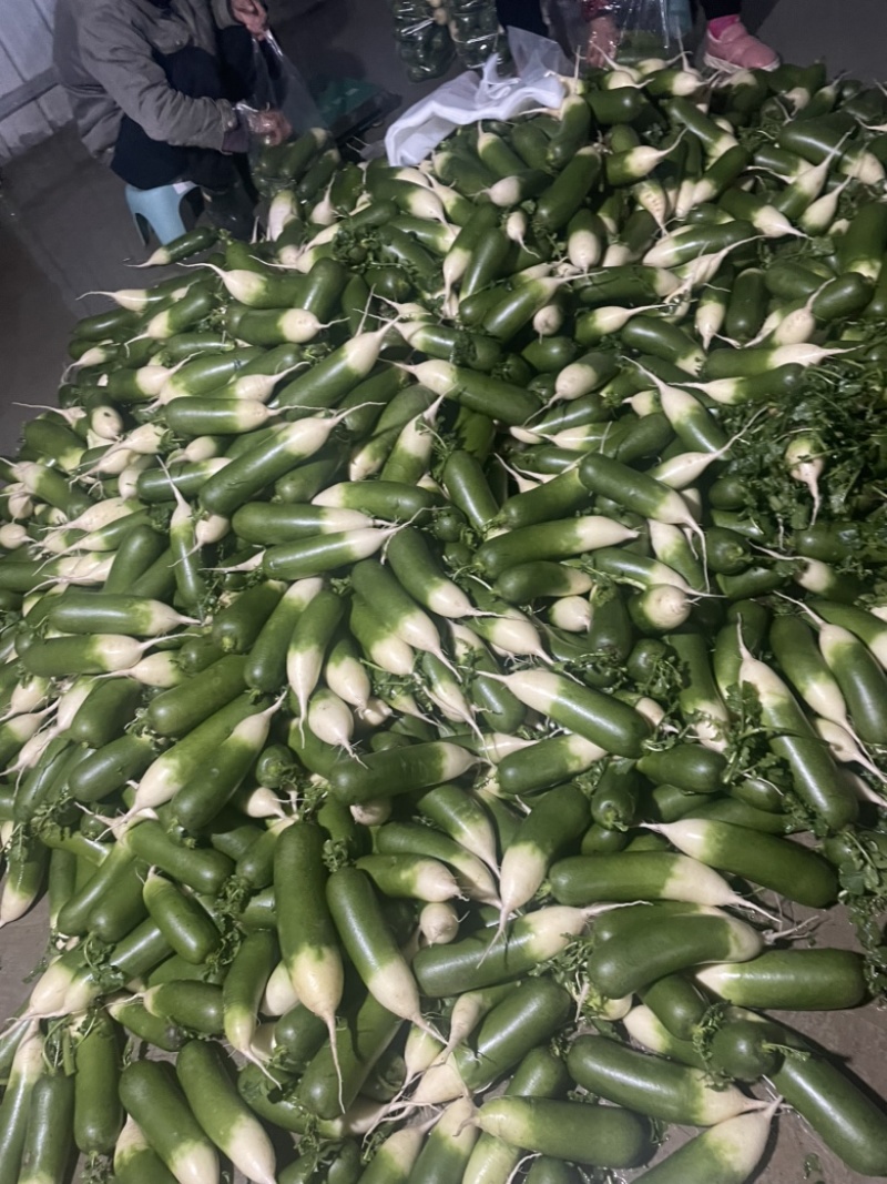 需要的朋友可以联系我