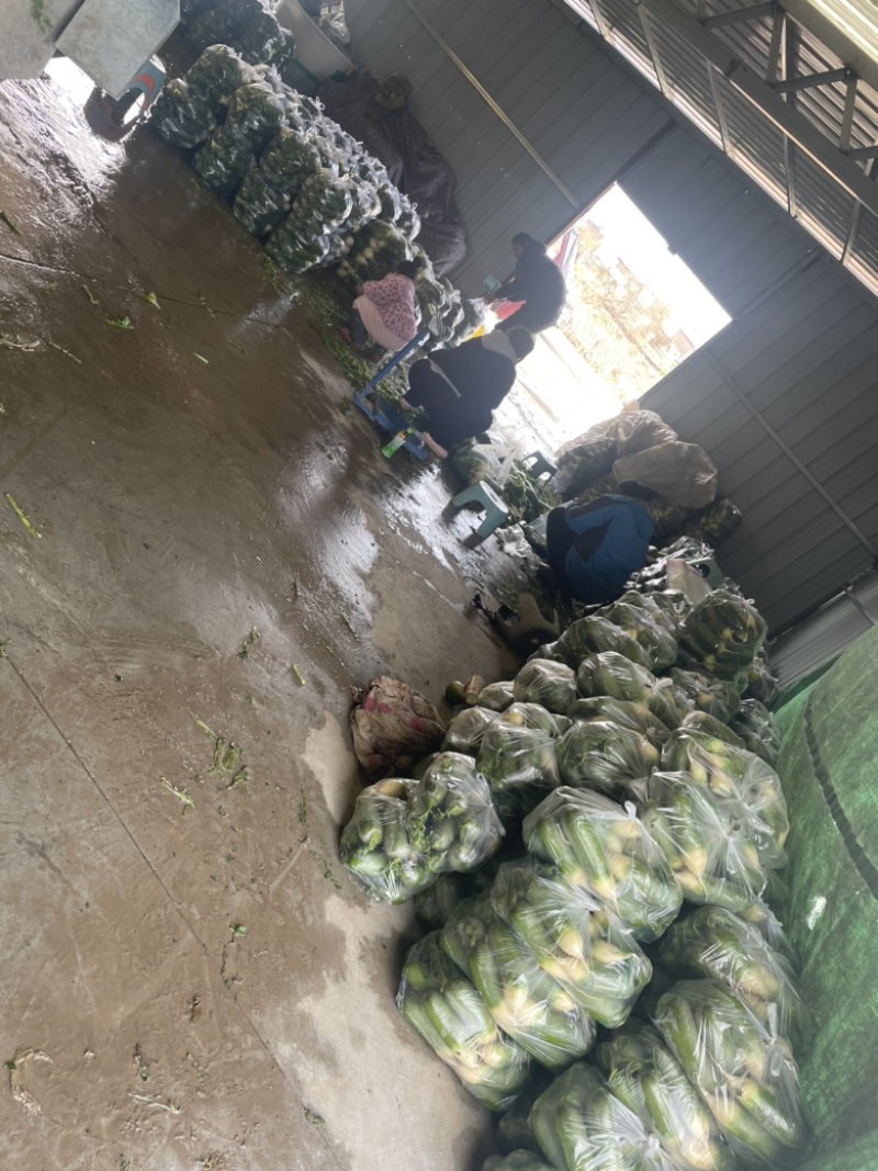 需要的朋友可以联系我