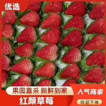 【精选】安徽红颜草莓-产地直发-量大从优-价格-直踩