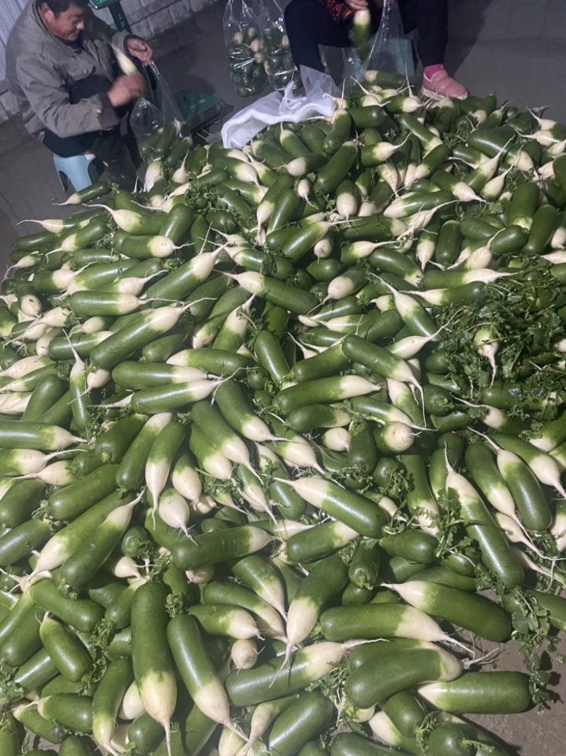 需要的朋友可以联系我