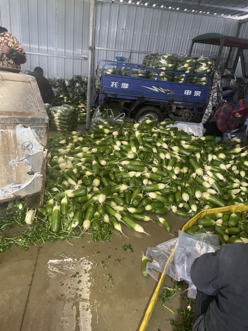 需要的朋友可以联系我