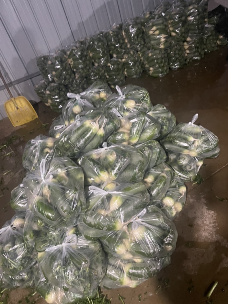需要的朋友可以联系我