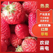 【优选】安徽红颜草莓-产地直采-粒大直甜-价格