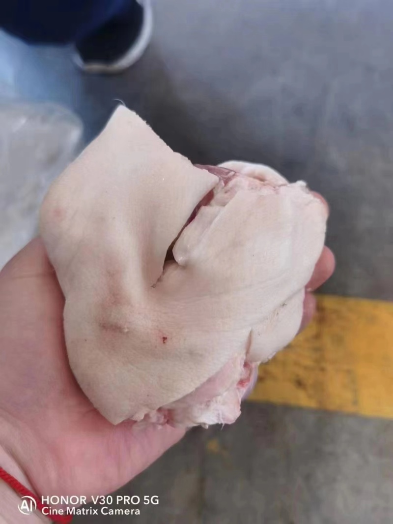 厂家直发肥猪脚圈28个左右全部新日期