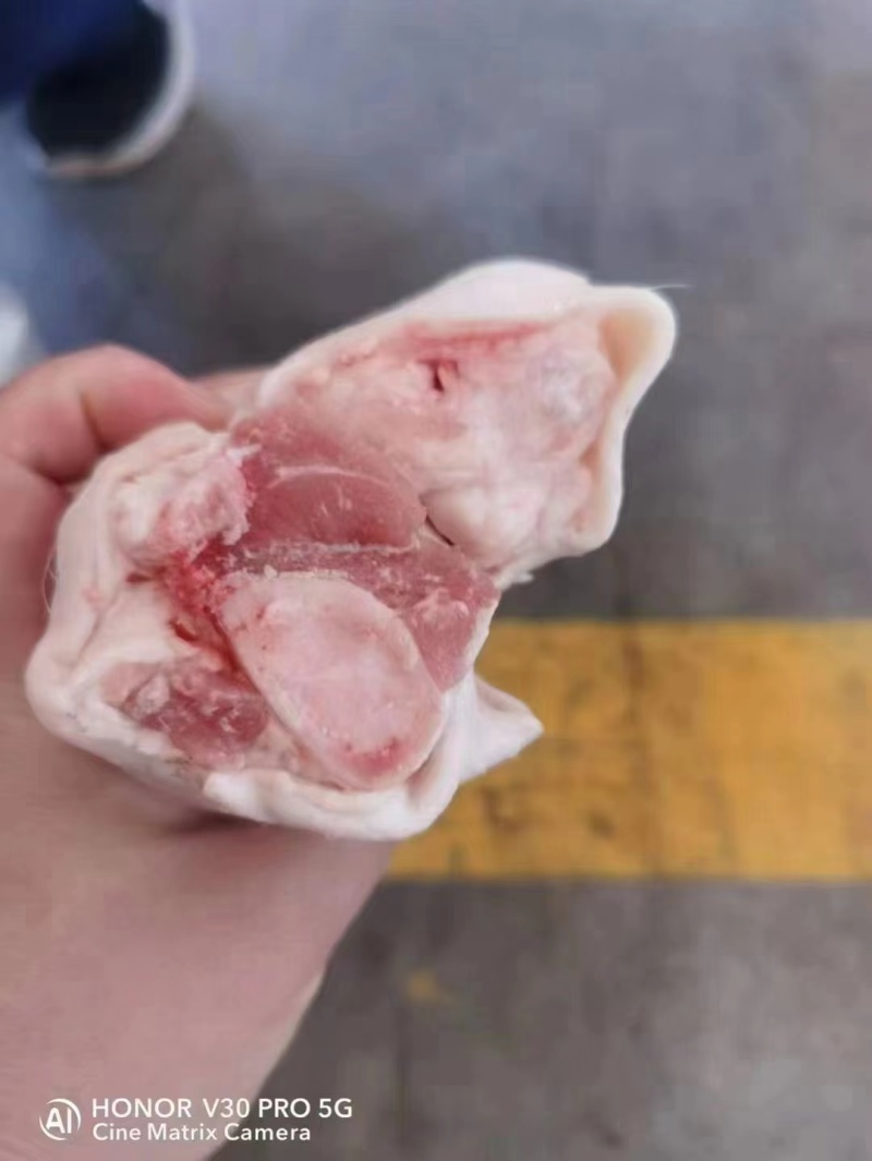 厂家直发肥猪脚圈28个左右全部新日期