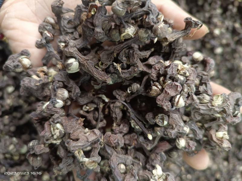 今年新货湖北野生拐枣干干净无杂质大量有货支持批发一件代发
