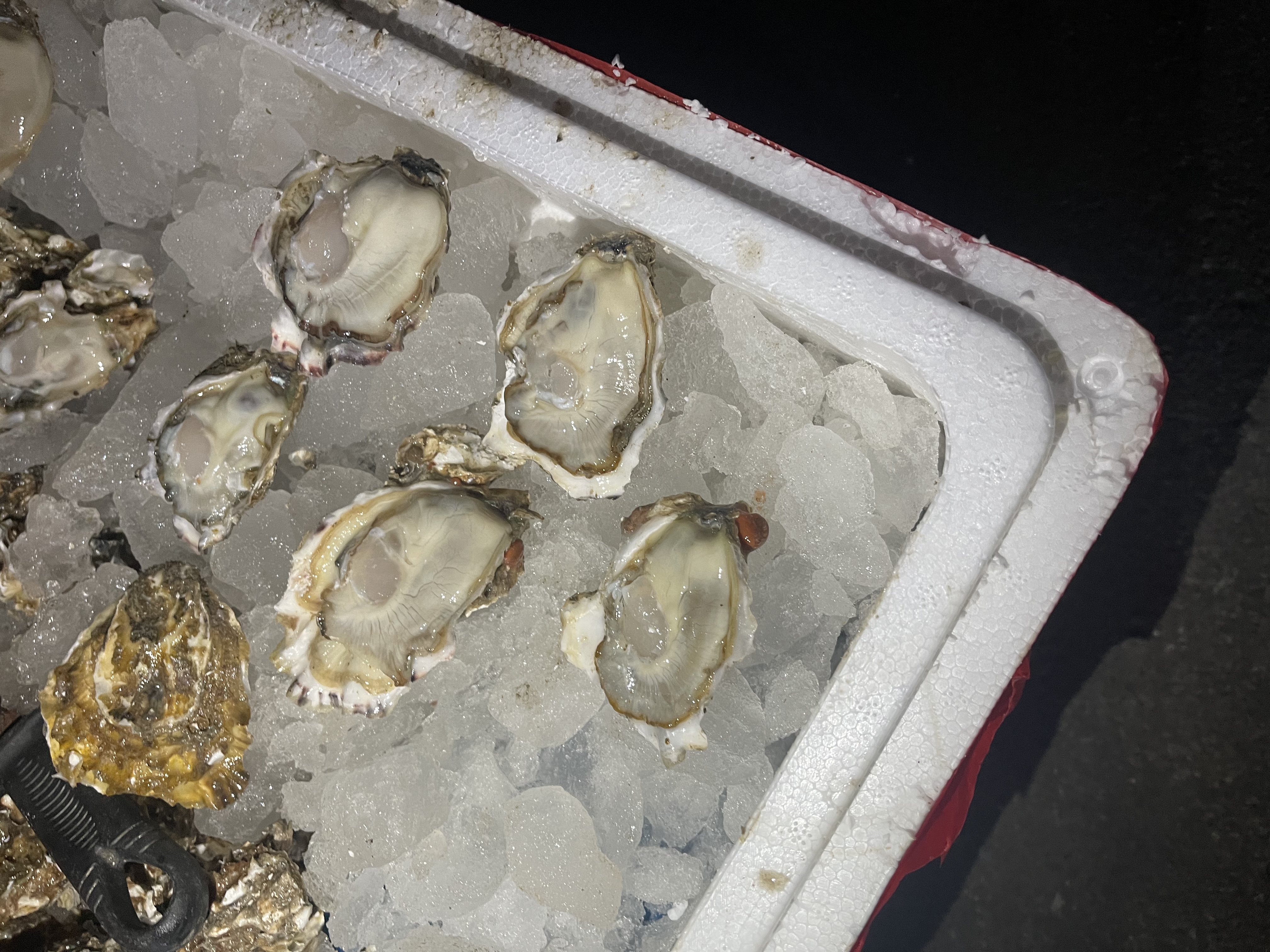 花蛤生食成品图