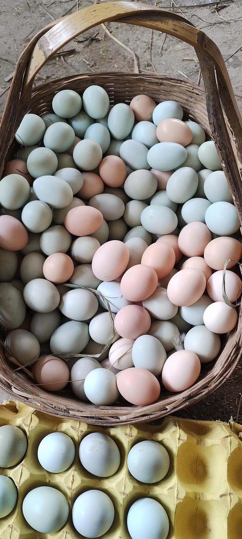 跑山鸡蛋散养鸡蛋，小时候的蛋香味，假一赔十，快递包邮