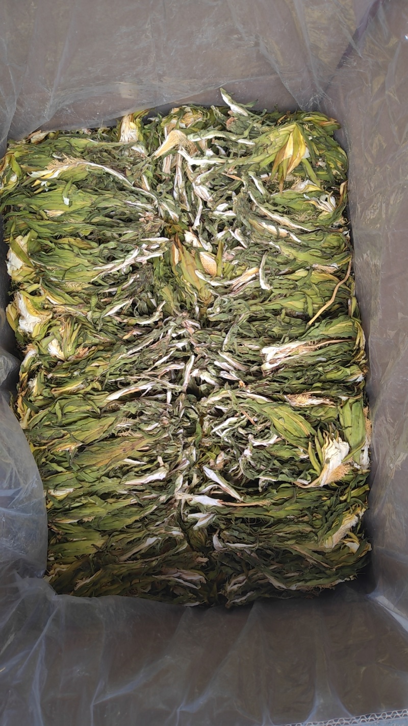 【精品干霸王花】广东基地直供质量保证一手货源欢迎订购