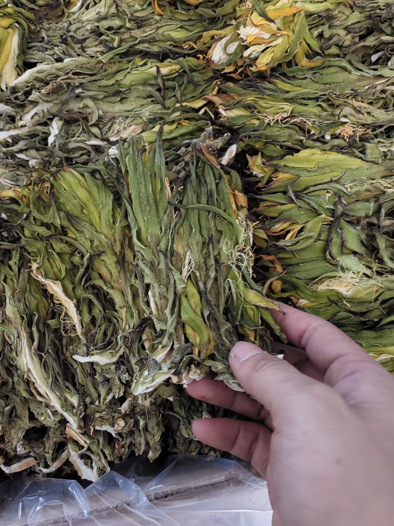 【精品干霸王花】广东基地直供质量保证一手货源欢迎订购